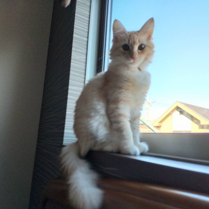 Eb21b94d 88de 4e07 b540 eb0add5185d8 1609546484936