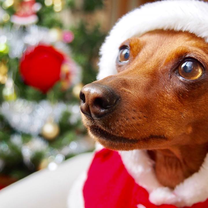 Eb21c410 7717 4318 ba1b a6cacadff9d3 1514003972553