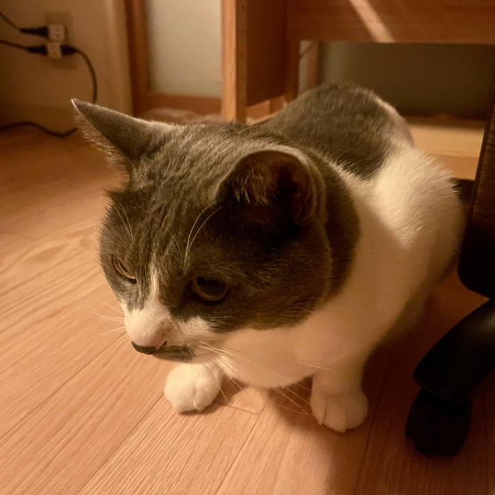 Eb21d557 448e 43c5 a142 572b2d1f3696 1656172867325