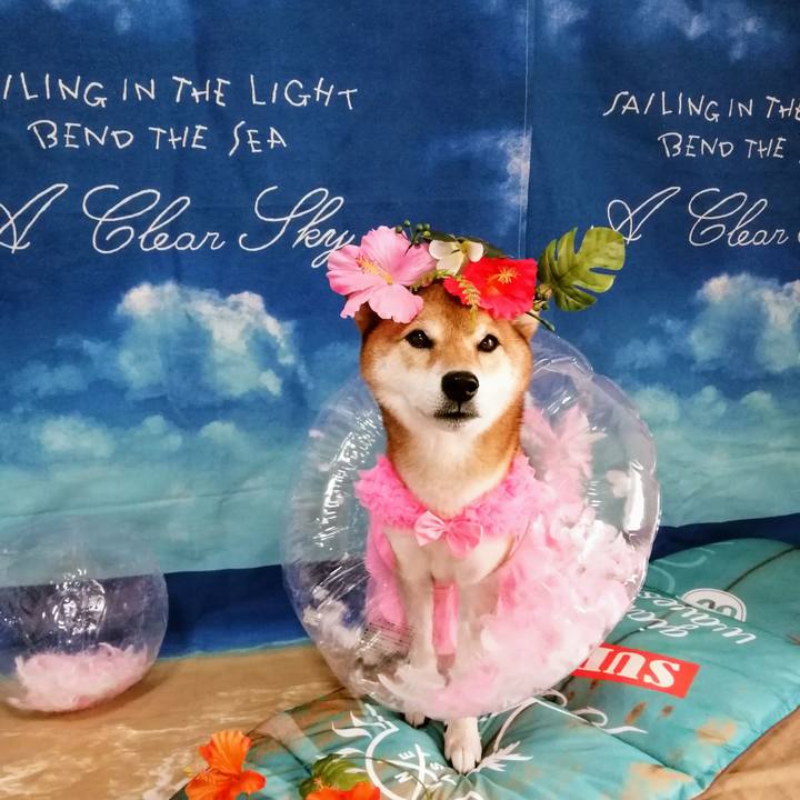 Eb21ec34 3a83 4d5b 9a1d e462cb0767d1 1628661311936