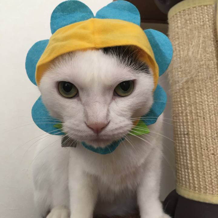 Eb21ef46 c0d6 41fb b18b 83def759cb23 1532223736206