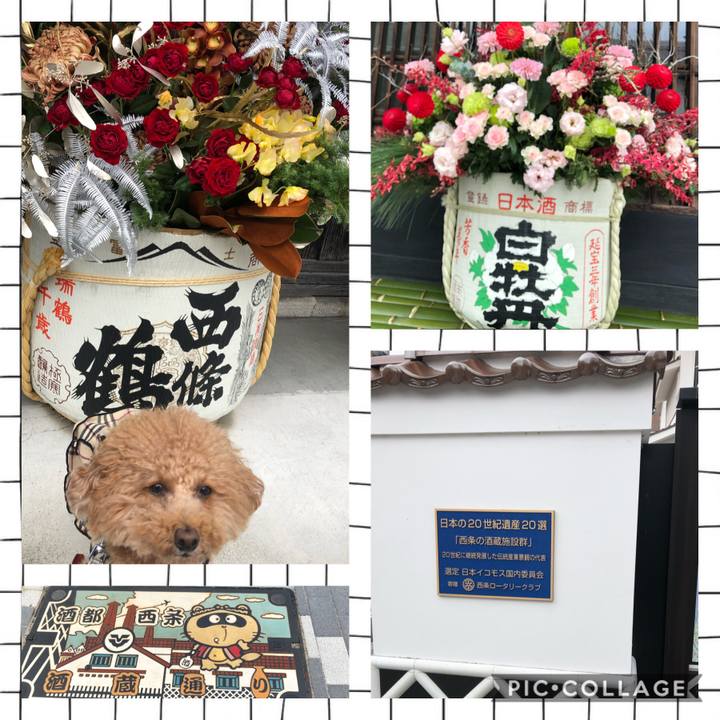 Eb221015 7d7a 4e52 a0fa 4f24e475afed 1607832037244