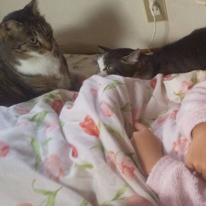 Eb2229a0 e0e7 4a0b 8ea9 2334bb2c40d6 1735618026936