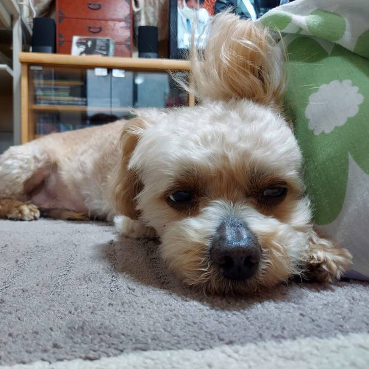 Eb222fcf 1aa0 4cd4 9362 6955da24edc1 1623041139957