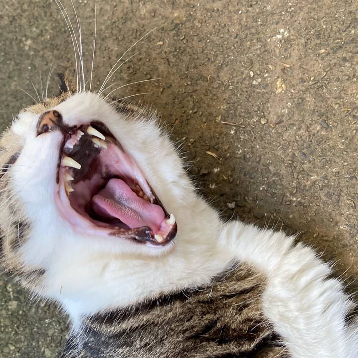 Eb223c43 bdbf 4768 9f90 2473f6afe3a4 1597648077939