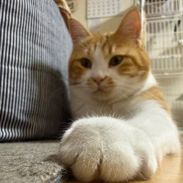 Eb224753 8fe6 4f18 8c5e 681ab64314d6 1768028025468