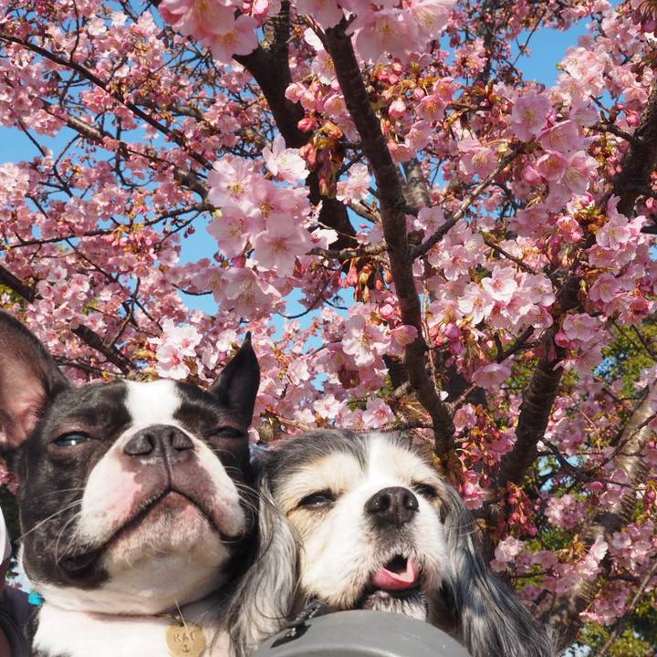 Eb22623c aeaa 4bf2 ba54 833beeb2f276 1551586239827