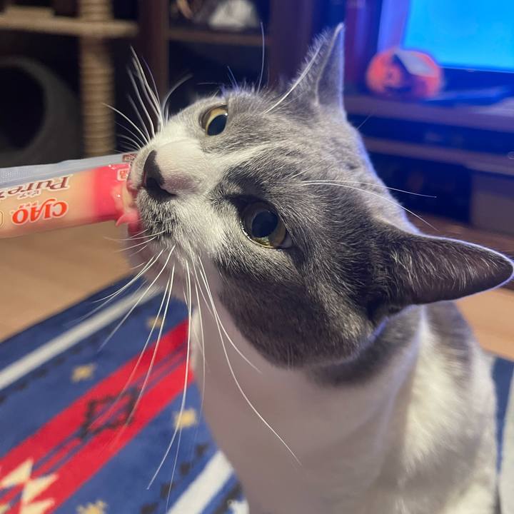 Eb22639b 5776 47ed 9680 55b4f3f00fd5 1665993940904