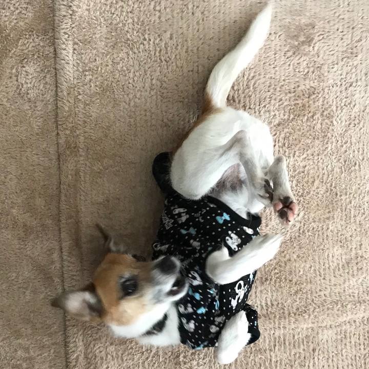 Eb2291b1 fe7b 4be4 b70e 59fb0313611e 1550195817928