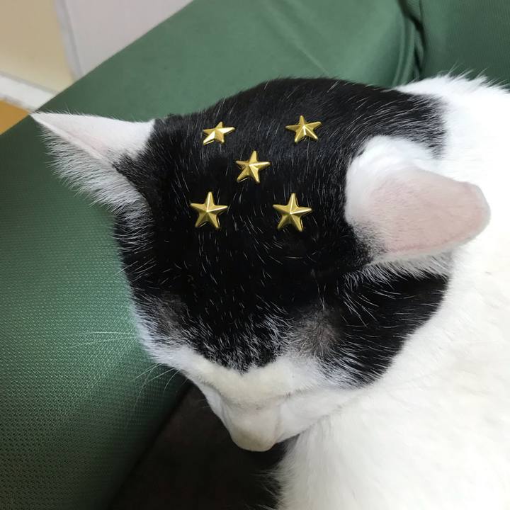 Eb229a84 59ae 49c2 8c1c ba1ad828ed98 1552314163534