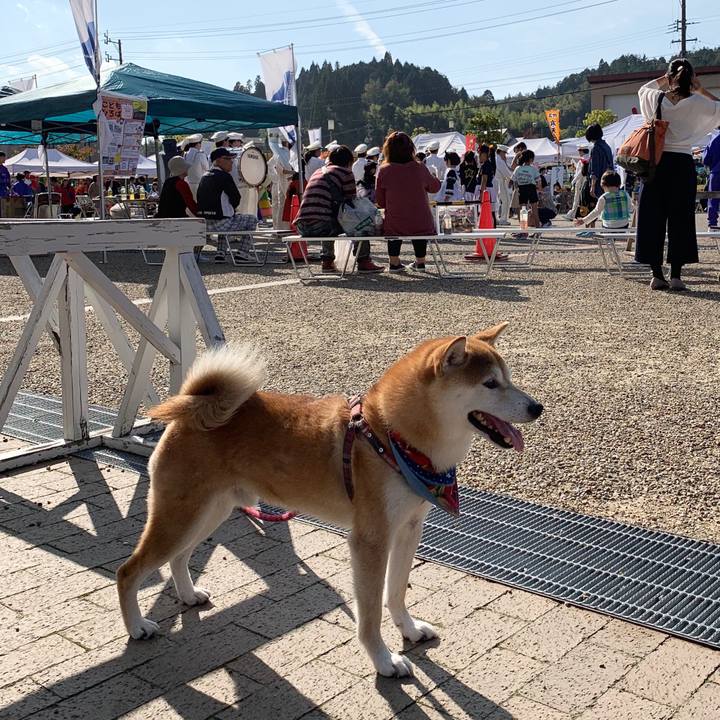 Eb22a68c 26a0 4c05 a27c 88bbcce07698 1572160238211