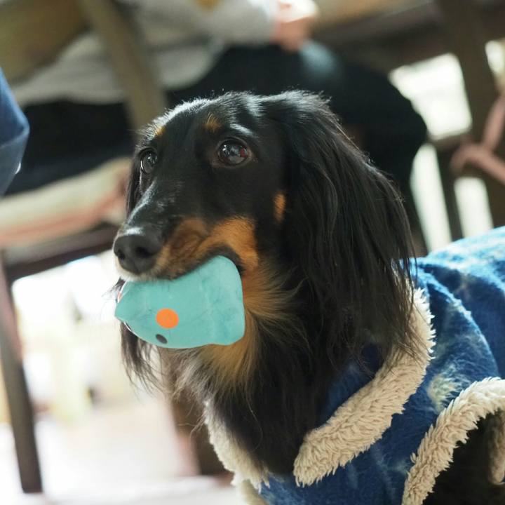 Eb22a94e cde1 42cc 9952 6e5117e7da0d 1549847698160