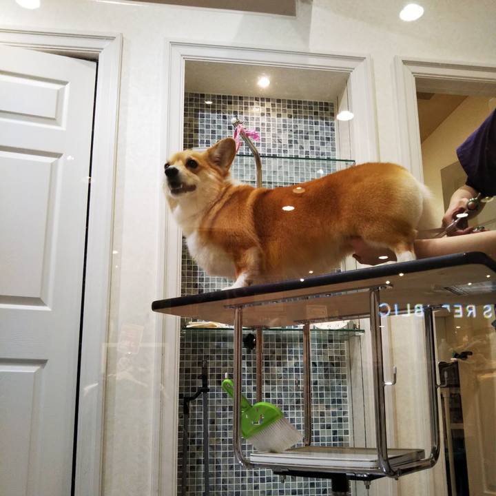 Eb22aa6c e0ef 4fe0 9259 401b4b4e29e0 1577542241633