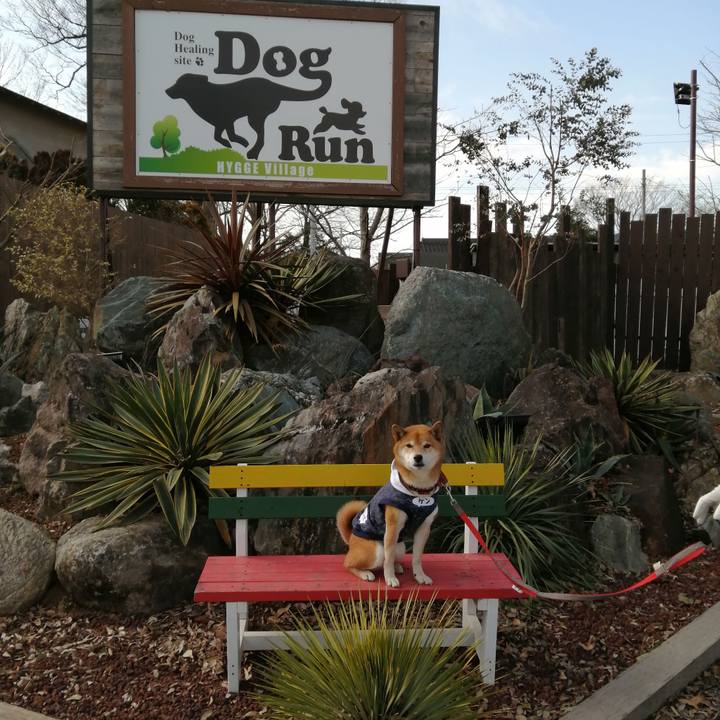 Eb22af34 fc0d 4c19 ae35 bf8867419b26 1643464107911