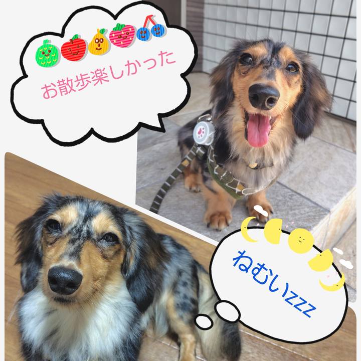 Eb22ce06 4630 4236 8646 d7cb32c729b0 1725450552124