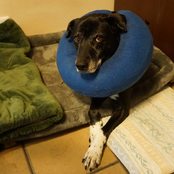 Eb22e42c 8592 44e8 b8fd 4bea9cf26f40 1768522864887