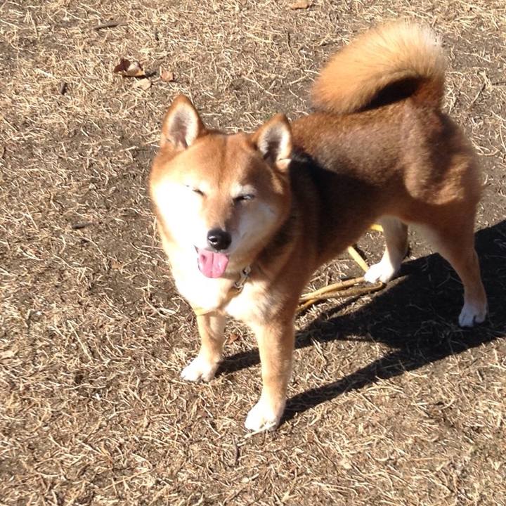 Eb231c52 aa1b 4629 919b 71017a677ff7 1515731973348