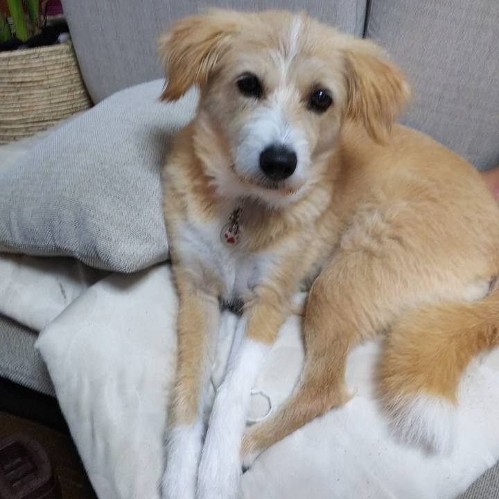 Eb2329bf 8237 4120 85df ecf421cd59a7 1537824609515