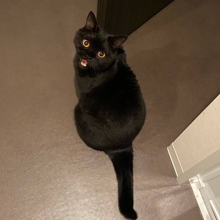 Eb239f5f 72ec 49d2 bddc 4f13de992efe 1603374677425