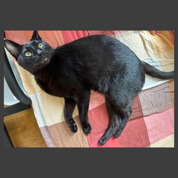 Eb23f786 edb6 4a56 8a4c 2b6b02690043 1748367323163