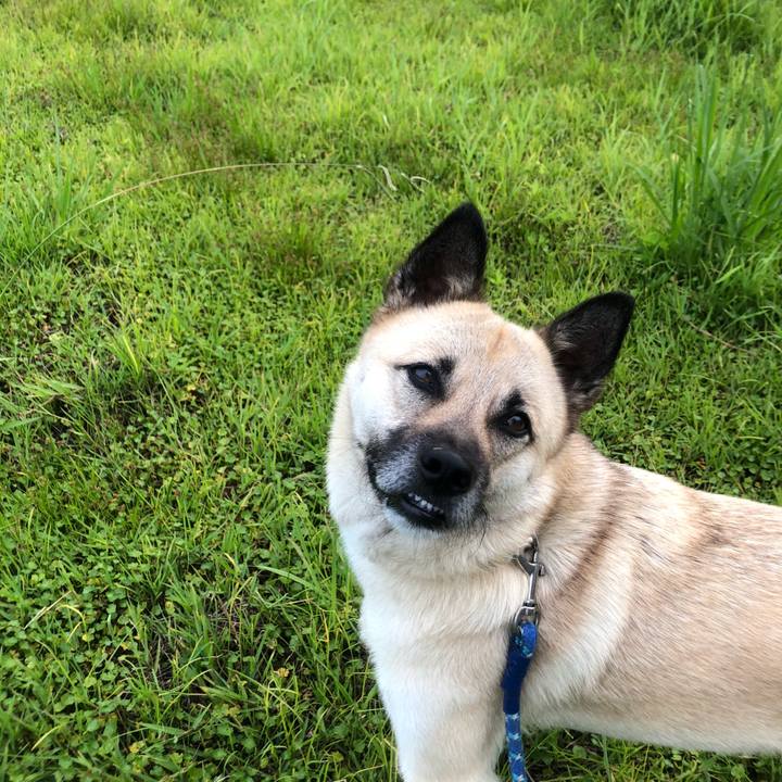 Eb2401b2 bb3a 4744 944f 93ad2e338049 1561463369415