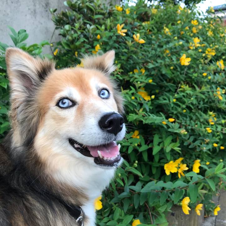 Eb240496 d9c1 407a 88b5 9ae076e418c2 1591347799956