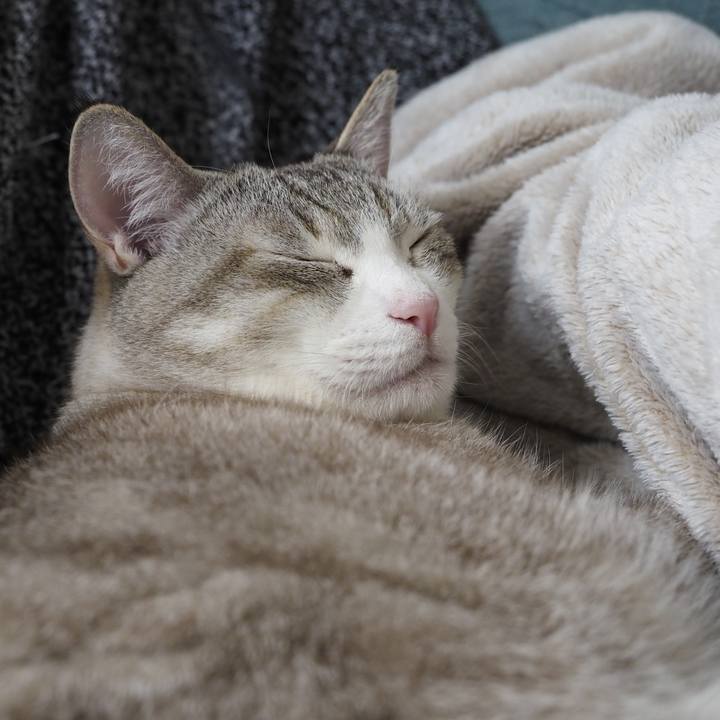 Eb241c42 2b07 4a36 84ff fa7f7b9d5b55 1615709078373