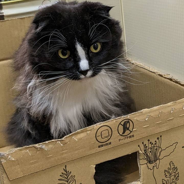 Eb24263a 5edb 47a6 87fb 33fb5af51f65 1676955246608