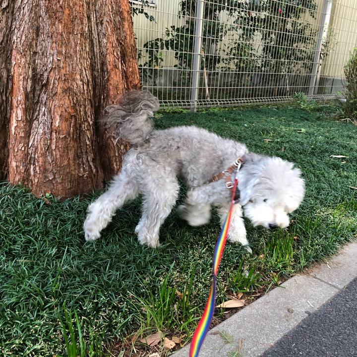 Eb243564 5b6c 4e51 a10e 4eb206fee67b 1542584705758