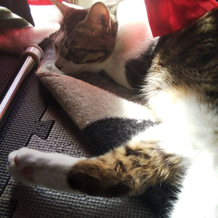 Eb243f74 c559 4c11 b483 23c4a12b9144 1644111309011