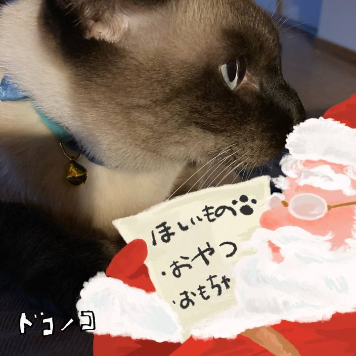 Eb245278 cf05 49d8 ad34 08ef0539f9b8 1729666927375