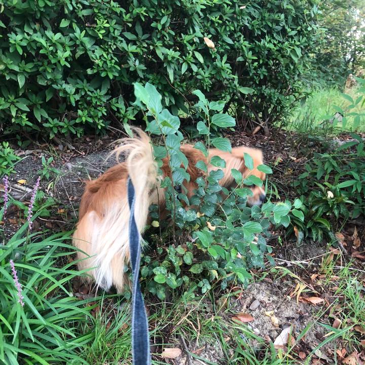 Eb2453cd 4d6b 46c2 9088 7135fc12bce9 1539729296955