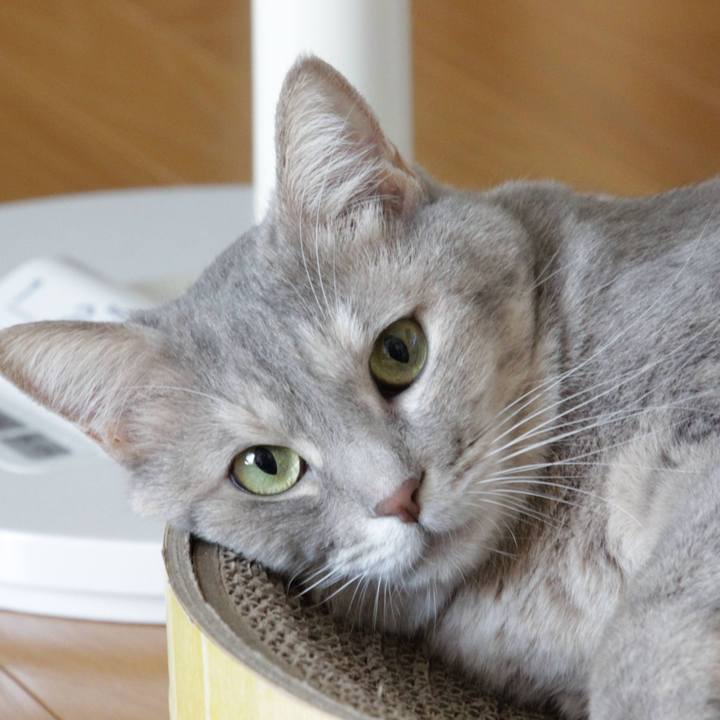 Eb24a602 b1fe 48ba bfa6 e90699e2f8e4 1600835054936