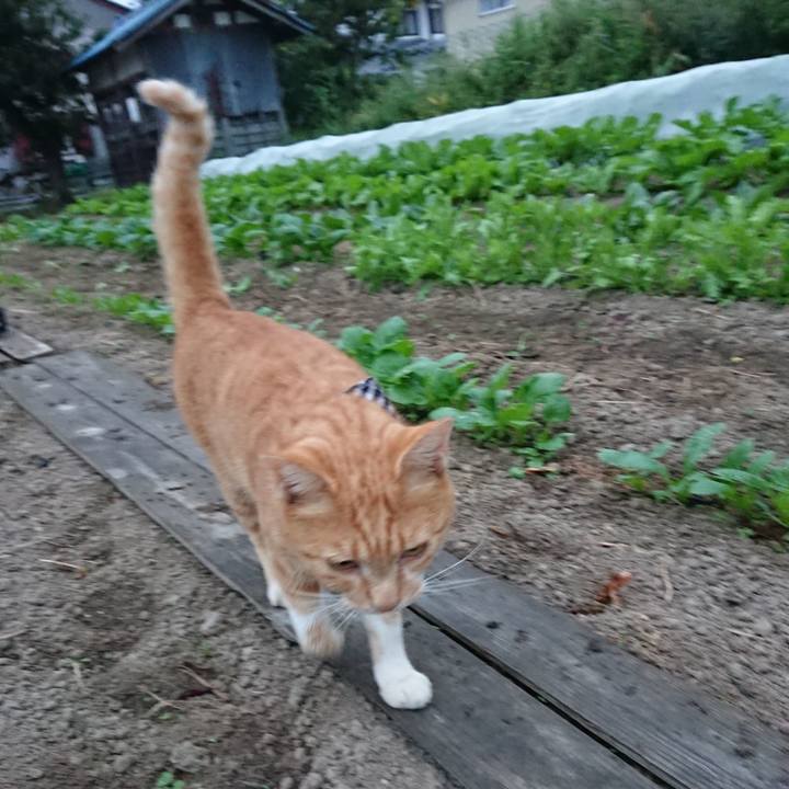 Eb24aac1 e050 41ef 9e70 a685c0d85bb4 1569707286784