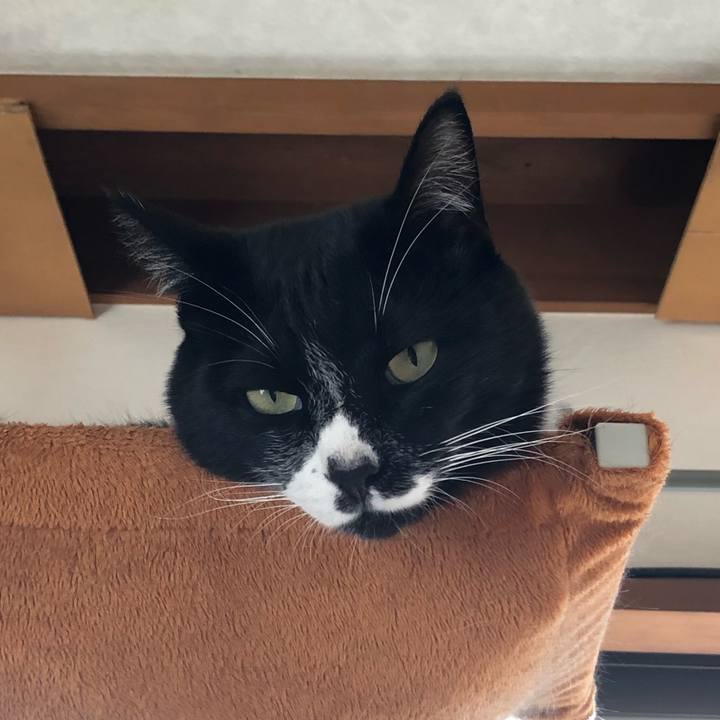 Eb24c16d 6a1b 40f4 acab dab3c28a5403 1572493175122