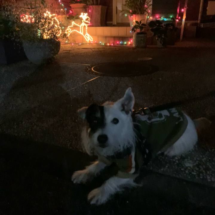 Eb25183d aab9 436e 8166 b68c238bdfa6 1700830915403