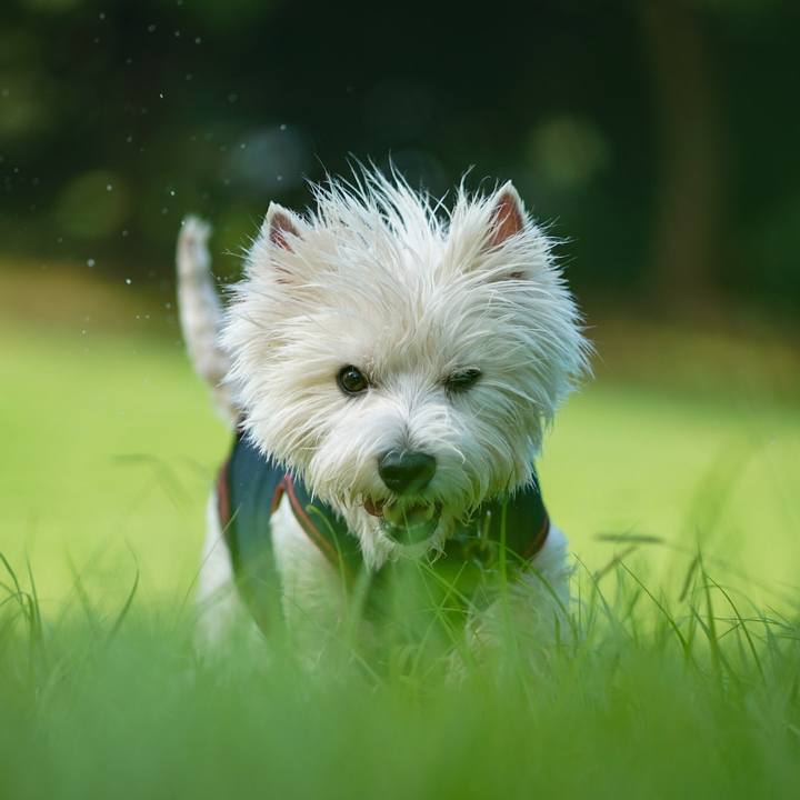 Eb25a2a6 58e2 49f9 ae45 57b2b49daae3 1534854367299