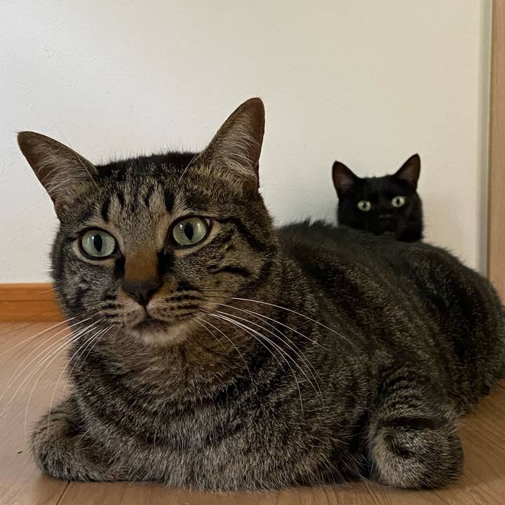 Eb25c4f3 28aa 4c89 902c 6ad80e964665 1687778596765