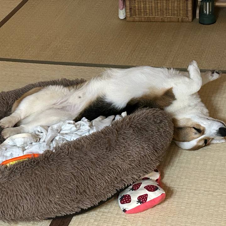 Eb25ee13 b896 4ca6 b273 9bf78c863591 1773329684048