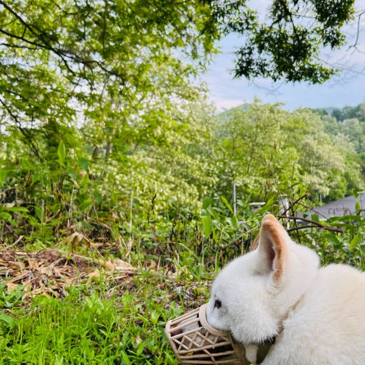 Eb260c52 891d 4614 a998 92ce51fb2d3e 1750027102840