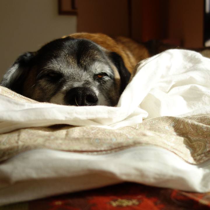 Eb2611b0 3715 488a 898d f66514e12454 1623630597772