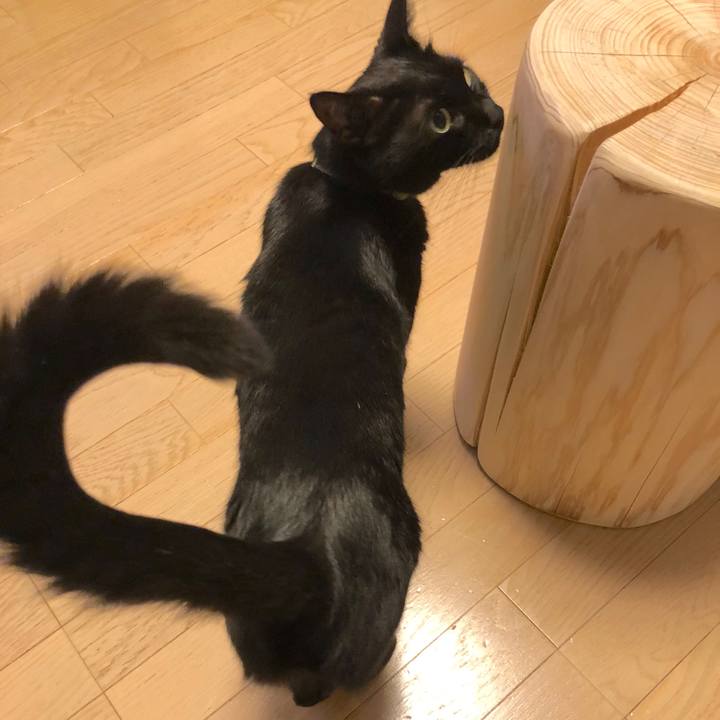 Eb2618f9 a38e 479f ba92 781dc2cf1b0a 1540468676326