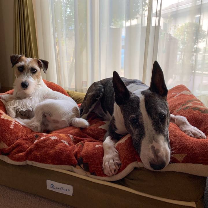 Eb262039 8dcc 489a ae3f 0aafc80d52d5 1597876543232