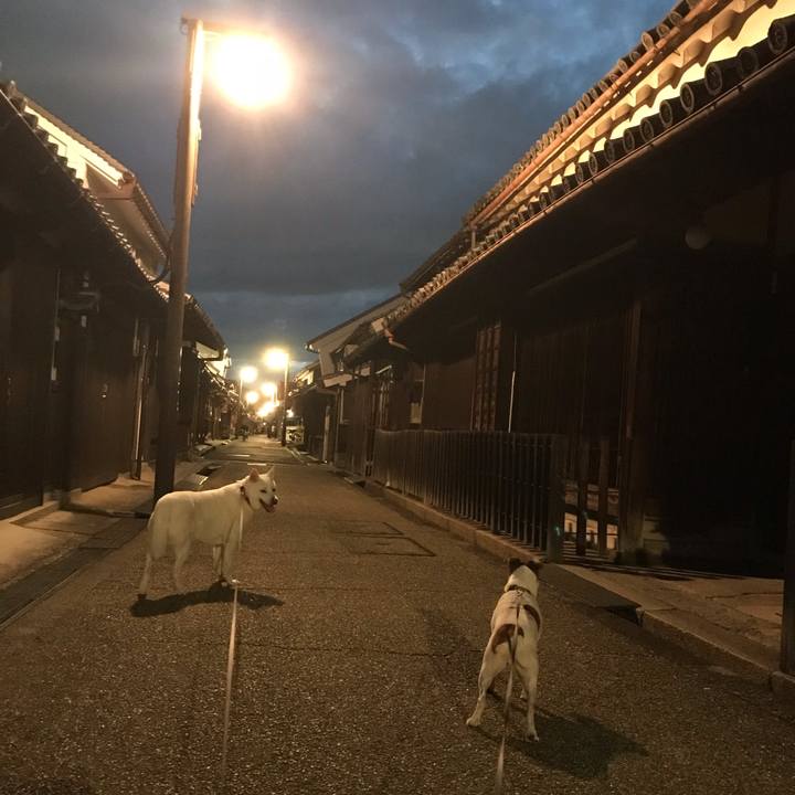 Eb263b9a 14ea 46fb aa94 c02c7eb793de 1538912732033