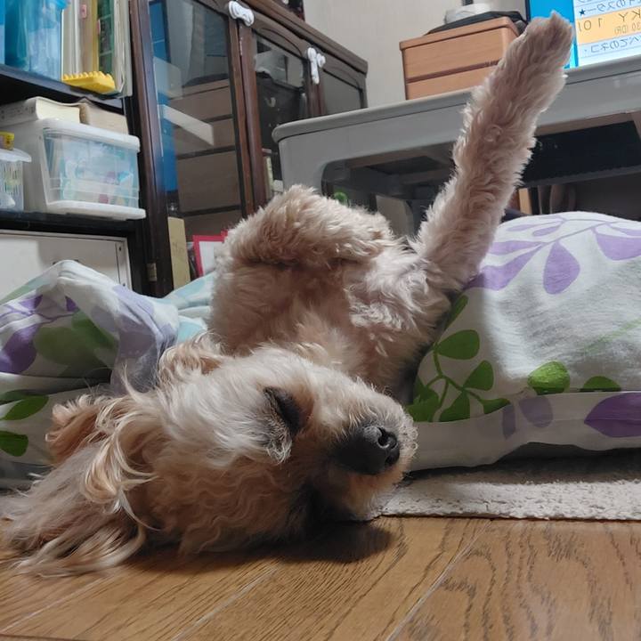 Eb263fdc 7f0b 4c92 94f7 f8bfab900240 1716012024499