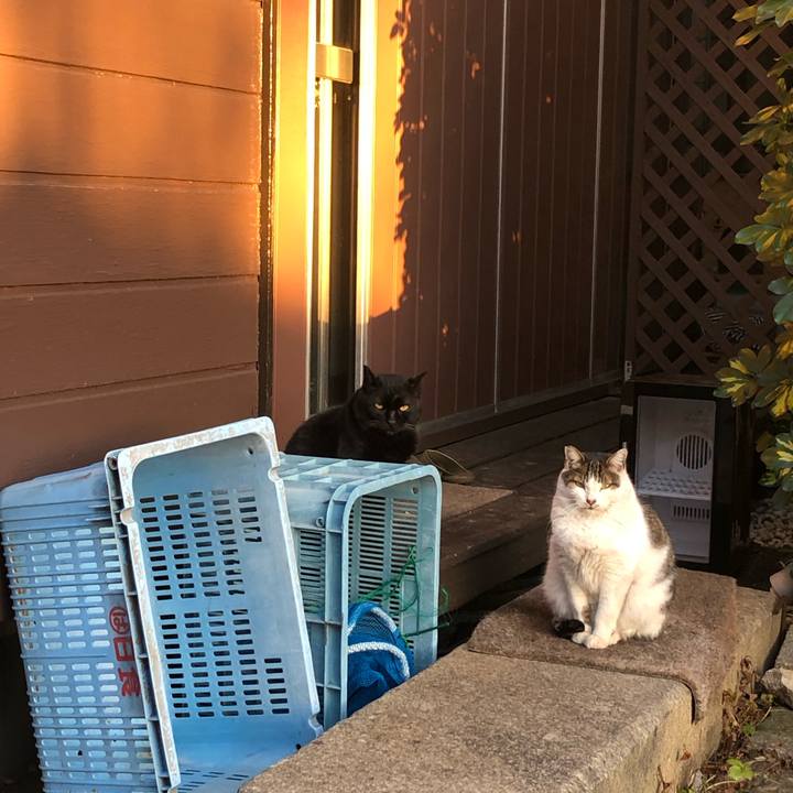 Eb2646c2 e207 447f b81d 8affc0271e6c 1643879898855