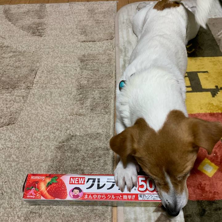 Eb266bda 2006 4f44 bfb1 9113ddf4ebfa 1585224541885