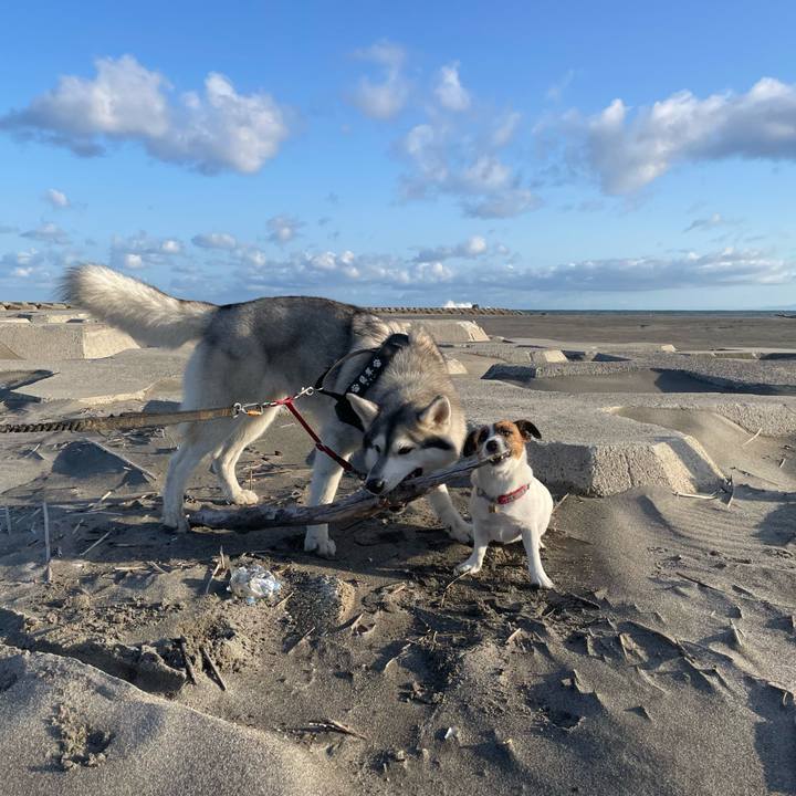 Eb26b1d2 1d44 4e9c b5a7 a141ca1b6583 1760657773326