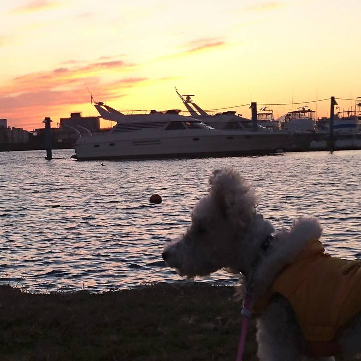 Eb270b27 c184 4524 9d65 49e12c1eff51 1512460005361