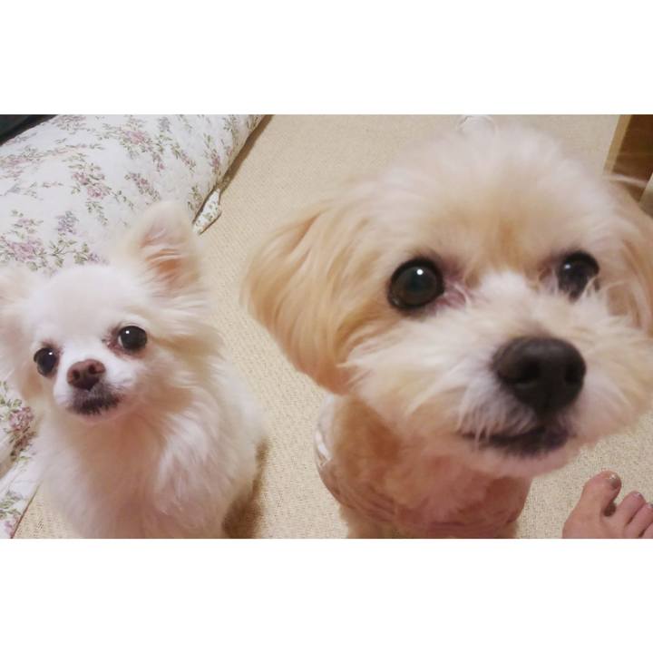 Eb272518 3385 4039 831f ec1445997051 1622635865361